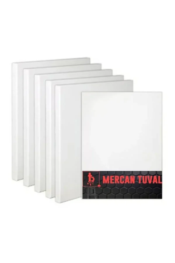 Mercan Tuval 40x40